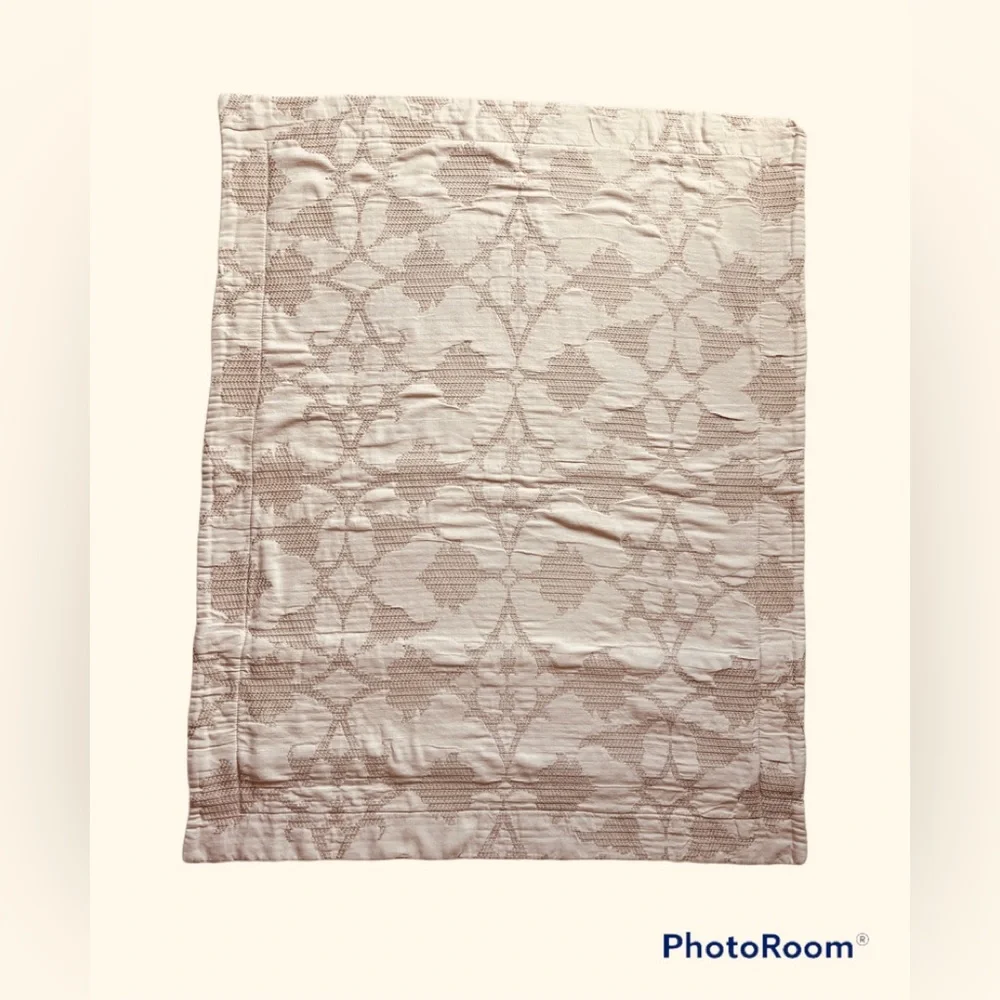 2 Pottery Barn textured pillow shams